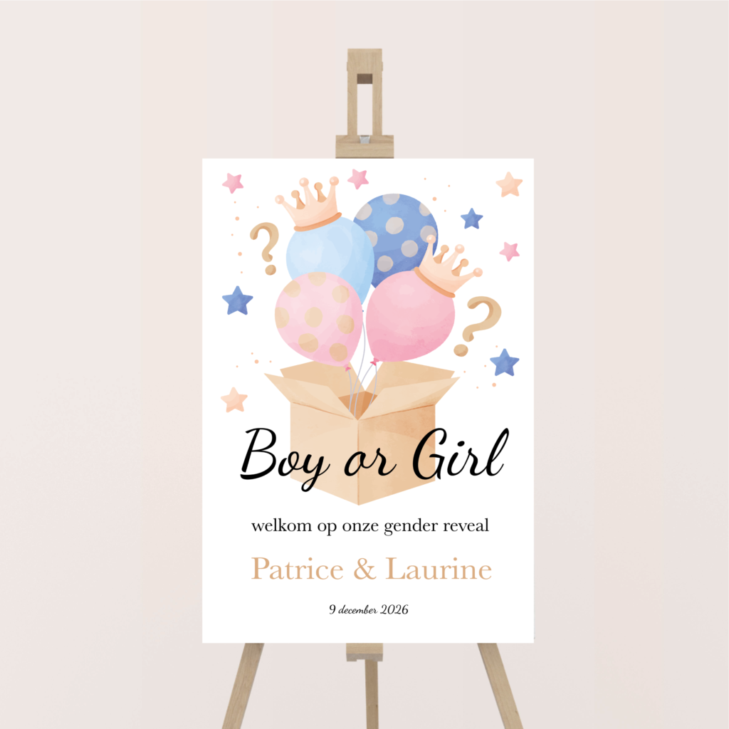 babyshowerbord gender reveal welkomstbord balloon box