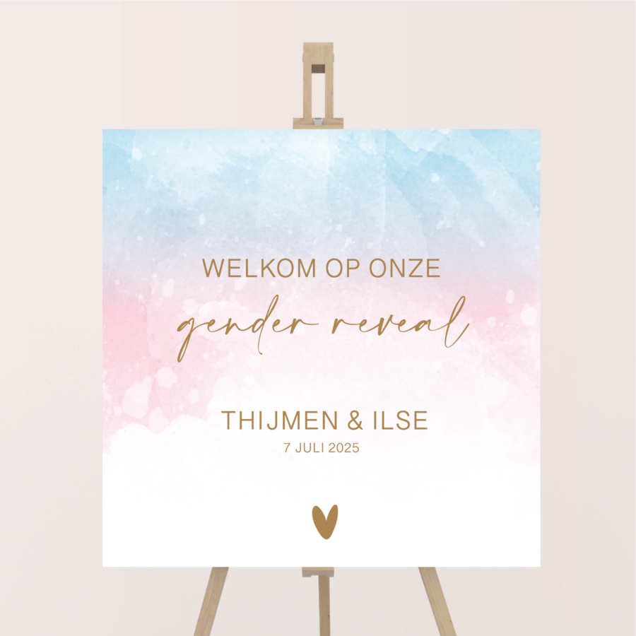 gender reveal welkomstbord roze blauw wolken